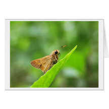 ride to smiles greeting cards