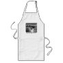 Rideau Falls, Ottawa, ON, 1869 Apron