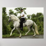 Rider On Horse posters