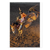 Riding High Postcard