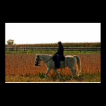 Riding Off Into The Sunset posters