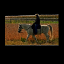 Riding Off Into The Sunset t-shirts