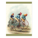 Riding Roosters Post Card