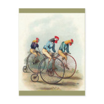 Riding Roosters Post Card
