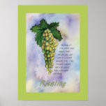 Riesling Wine Grapes Poster posters