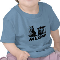 Right MEOW! Funny Evil Kitty