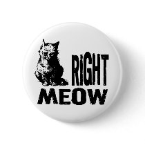 Right MEOW! Funny Evil Kitty