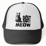 Right MEOW! Funny Evil Kitty Mesh Hats
