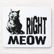 Right MEOW! Funny Evil Kitty