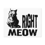 Right MEOW! Funny Evil Kitty Post Card