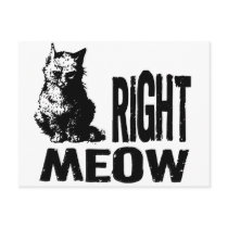 Right MEOW! Funny Evil Kitty Post Card