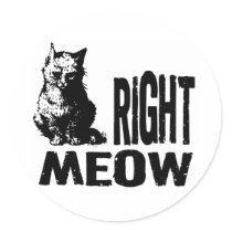 Right MEOW! Funny Evil Kitty