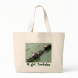 Right Tortoise Bag