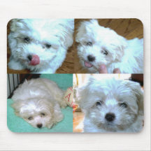 Riley Malti-poo Puppy Collage Mouse Pad