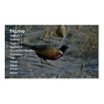 Ring-necked pheasant business card template