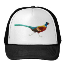 Ring Necked Pheasant Hat