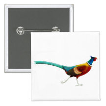 Ring Necked Pheasant Pin