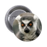 ring tail lemur buttons