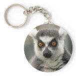 ring tail lemur