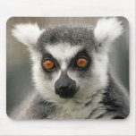 ring tail lemur mousepads