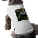 Ring-Tailed Lemur pet clothing