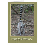 Ring-Tailed Lemur Happy Birthday Card