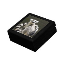 Ring-tailed Lemur Jewelry Boxes