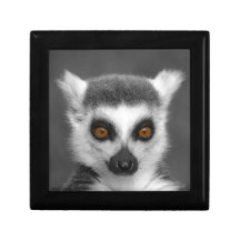 Ring Tailed Lemur Jewelry Boxes