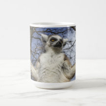 Ring-tailed lemur mug