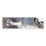 Ring-Tailed Lemur Portrait Bumper Sticker