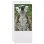 Ring-Tailed Lemur rack cards