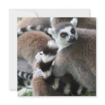 Ring Tailed Lemurs Invitations