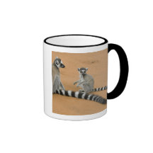 Ring-tailed Lemurs, (Lemur catta), Berenty Mugs