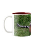 Ring tailed lemurs mug