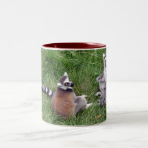 Ring tailed lemurs mug