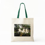 Ring tailed lemurs warming up in Spain bags