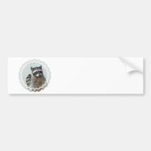 Ringed Racoon  Bumper Sticker