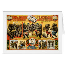 Ringling Bros Pachyderms1899 Card