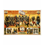 Ringling Bros Pachyderms1899 t-shirts