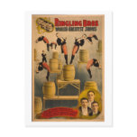 Ringling Bros. / Raschetta Bros. postcards