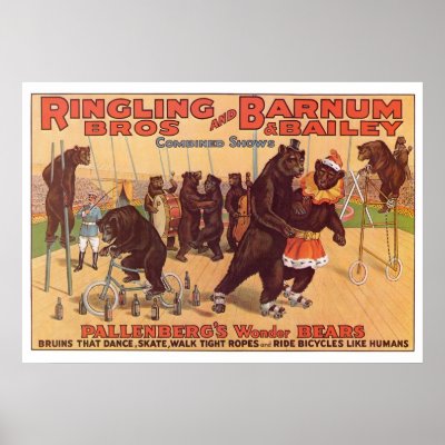 Ringling Bros. Wonder Bears Advertisement 1920's Poster by gwester