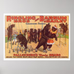Ringling Bros. Wonder Bears Advertisement 1920's Poster