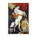 Ringling Bros. World's Greatest Shows postcards