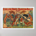 Ringling Brothers Barnum and Bailey Tigers Poster posters