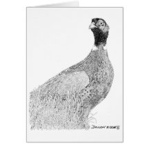 Ringneck Pheasant Cards