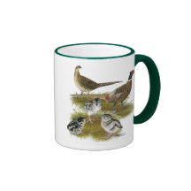 Ringneck Pheasant Family Coffee Mugs