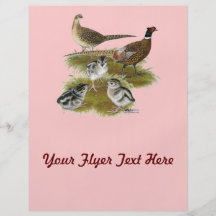 Ringneck Pheasant Family Full Color Flyer