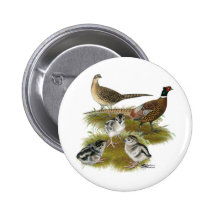 Ringneck Pheasant Family Pinback Button
