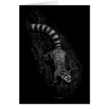 Ringtail Card