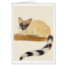Ringtail Cards